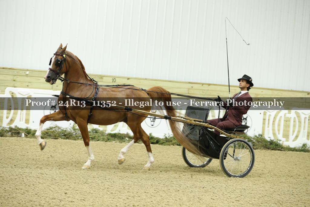Proof 24R13_11352