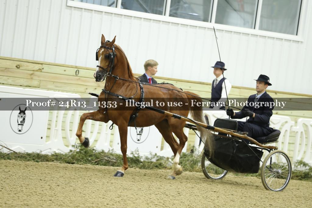 Proof 24R13_11353
