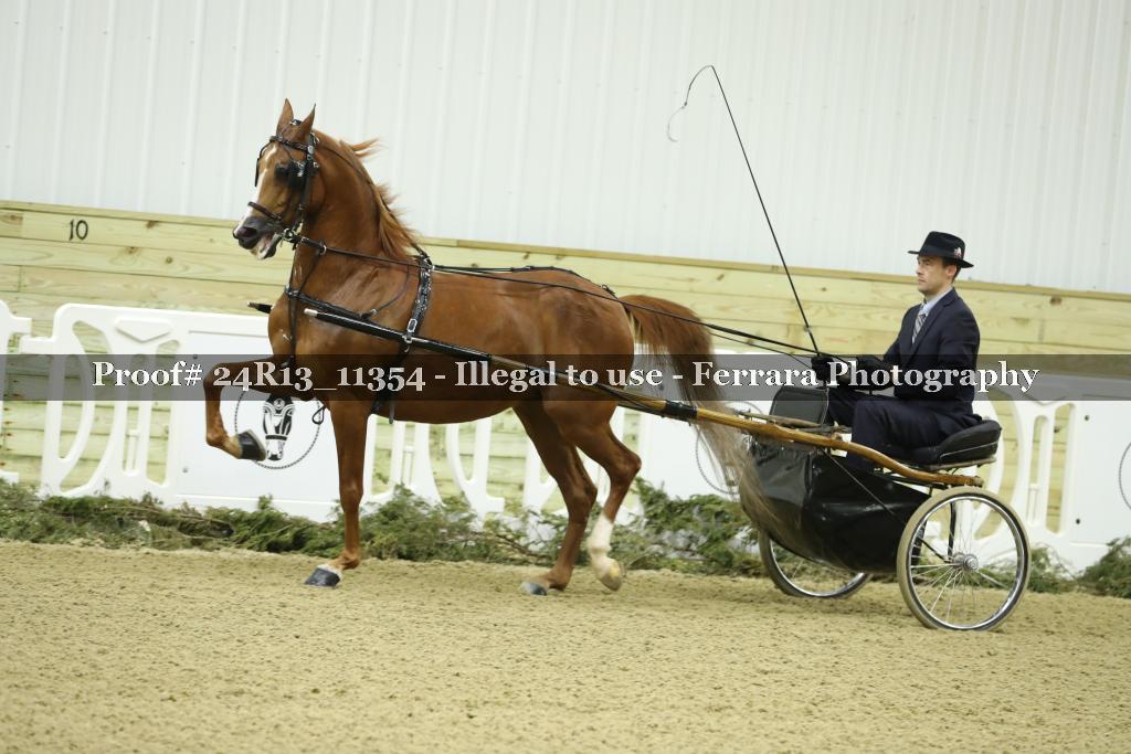 Proof 24R13_11354