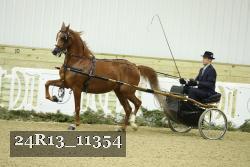 24R13_11354 proof