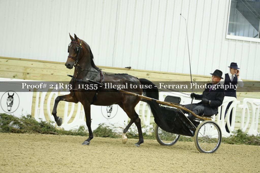 Proof 24R13_11355