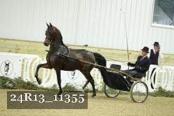 24R13_11355 proof