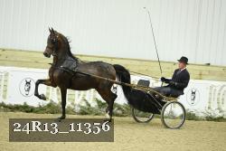 24R13_11356 proof