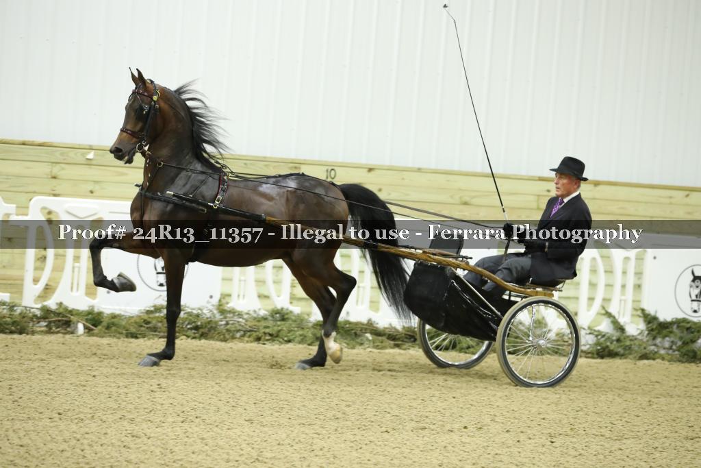 Proof 24R13_11357