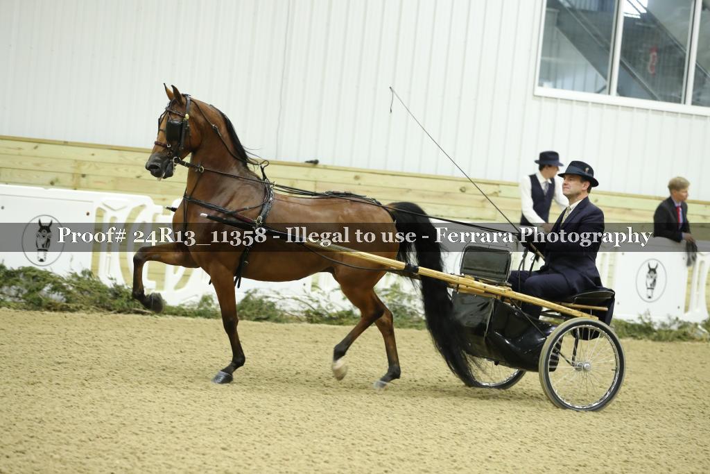 Proof 24R13_11358