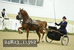 24R13_11362 proof