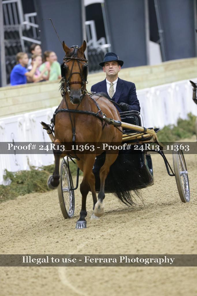 Proof 24R13_11363