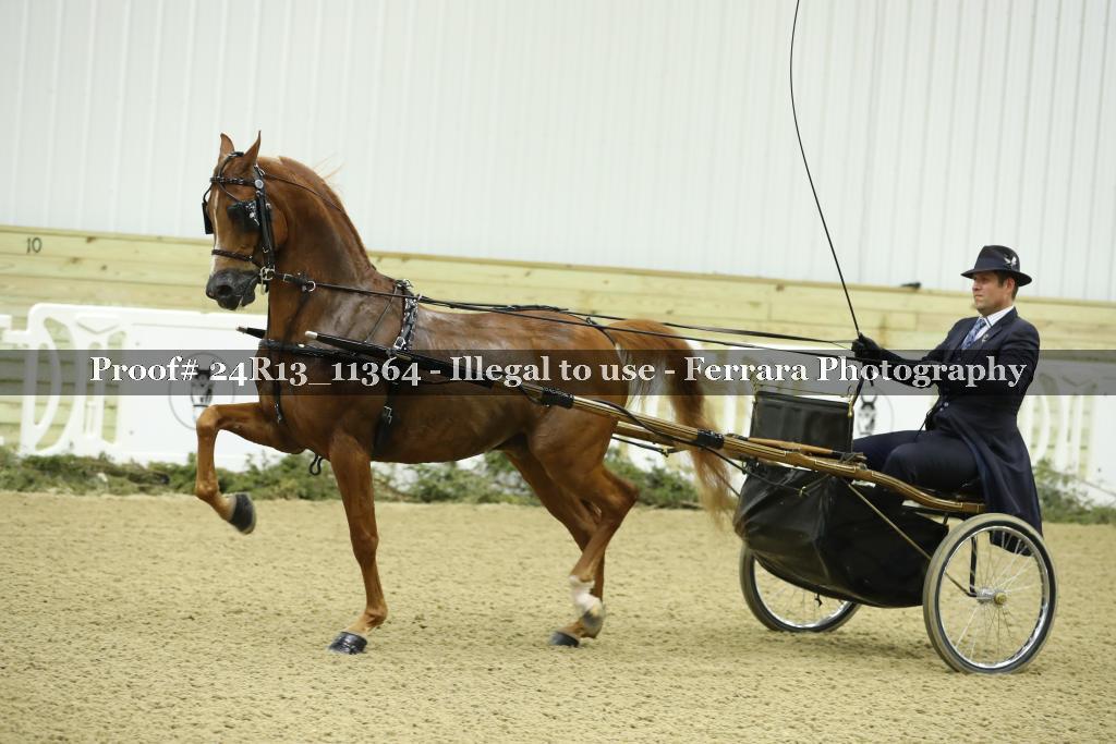 Proof 24R13_11364