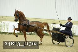 24R13_11364 proof