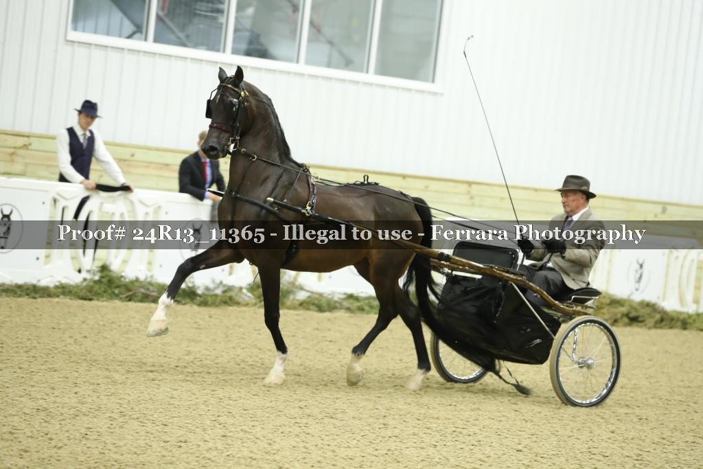 Proof 24R13_11365