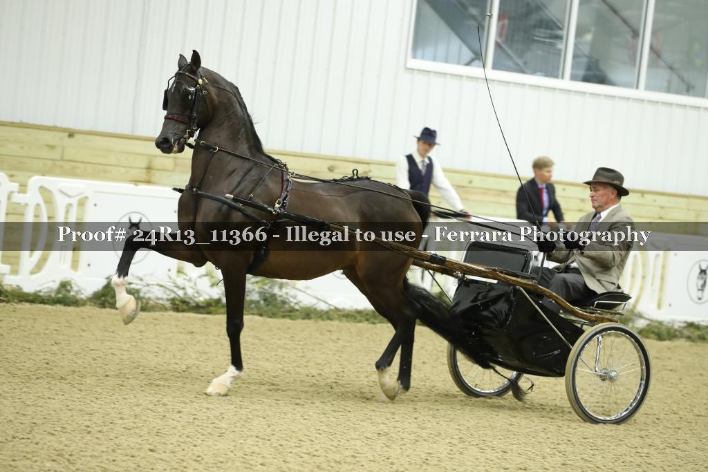 Proof 24R13_11366