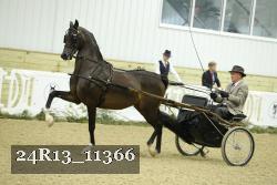 24R13_11366 proof