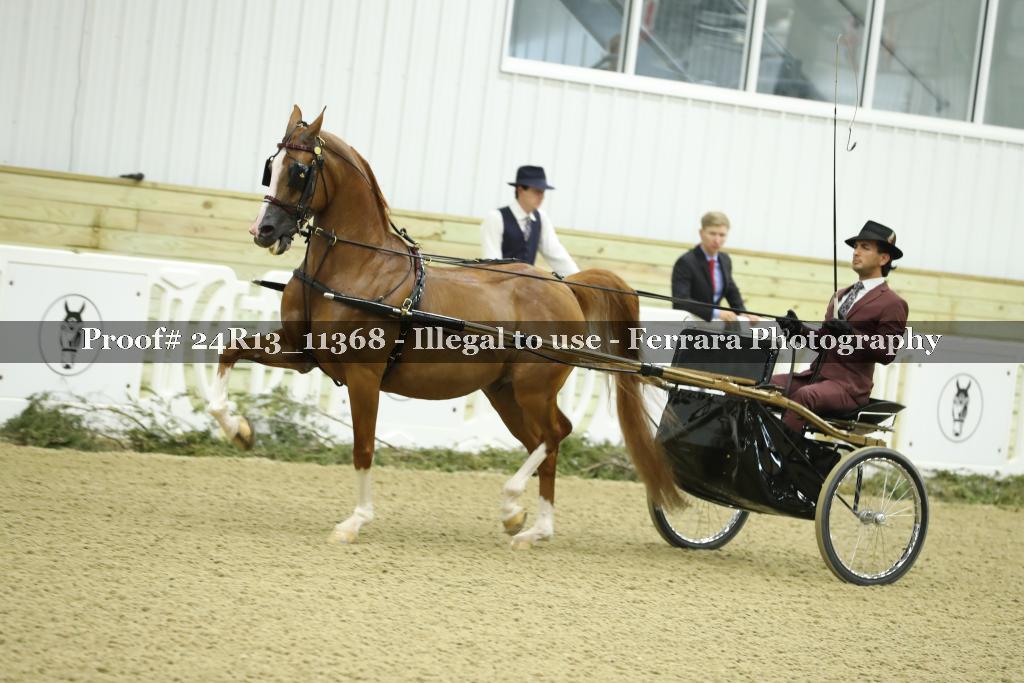 Proof 24R13_11368