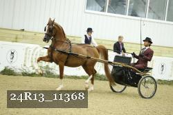 24R13_11368 proof