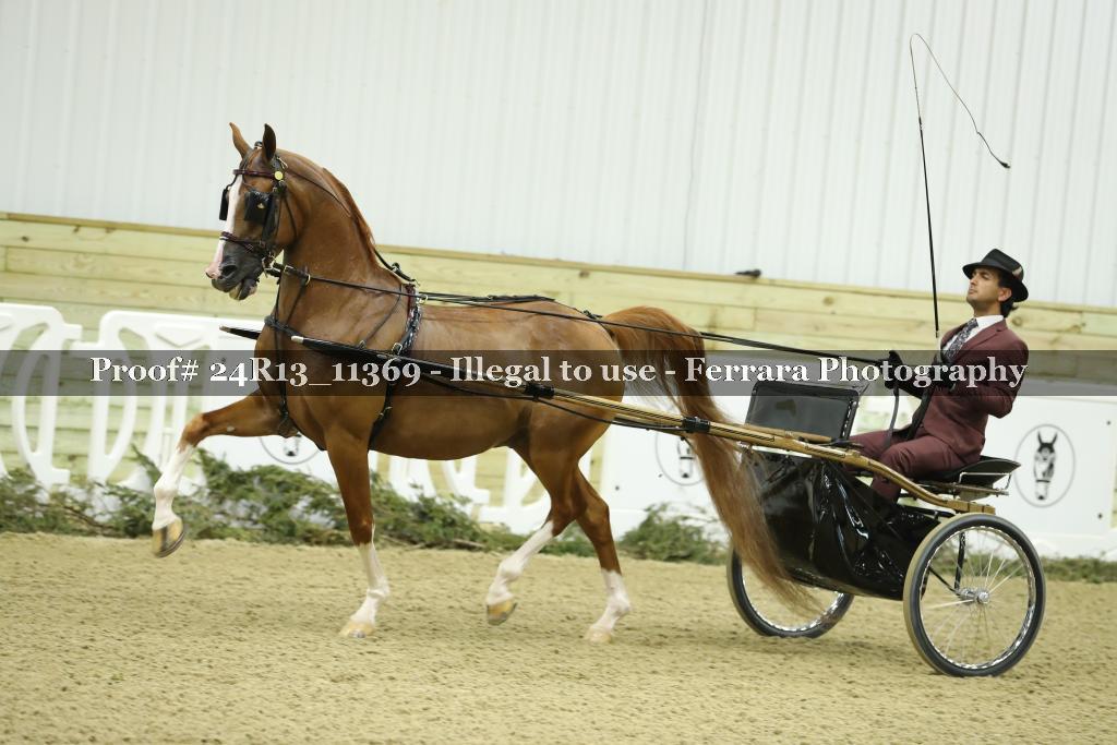 Proof 24R13_11369