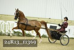 24R13_11369 proof