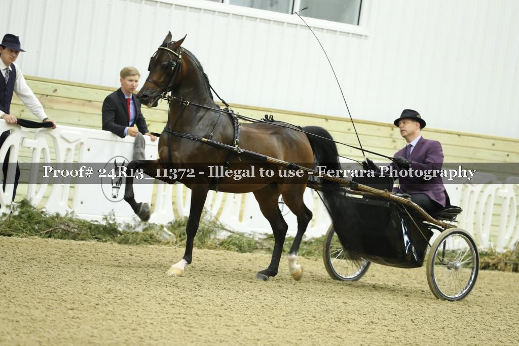 Proof 24R13_11372