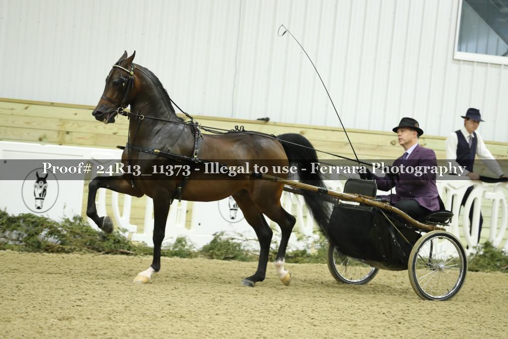 Proof 24R13_11373