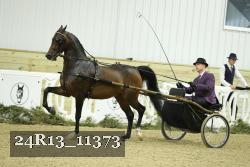 24R13_11373 proof