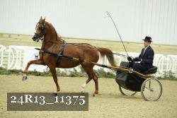 24R13_11375 proof