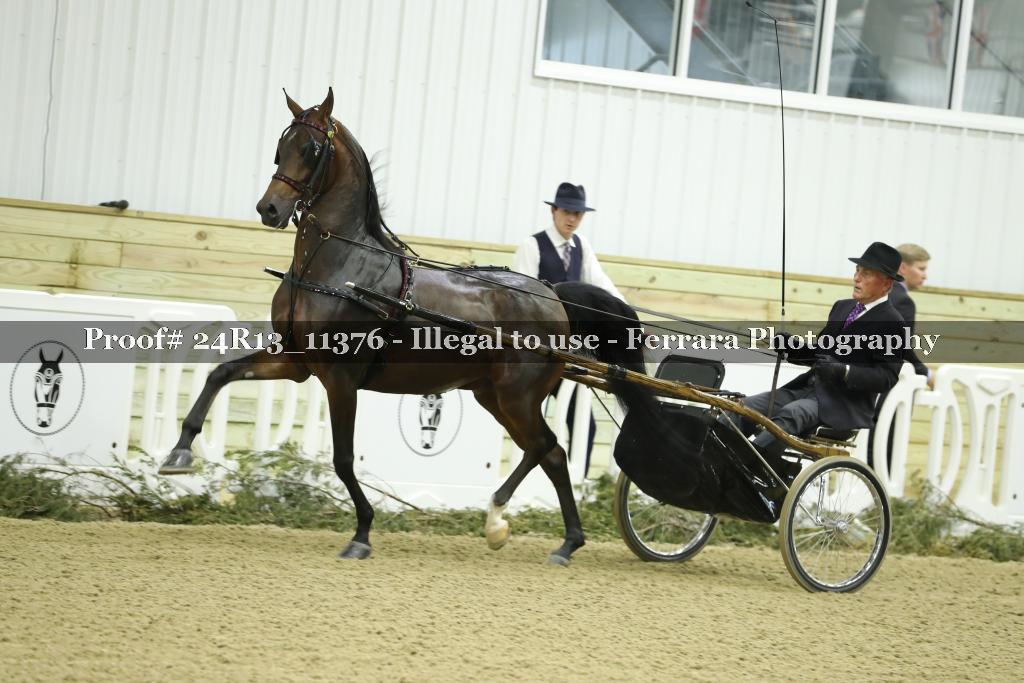 Proof 24R13_11376