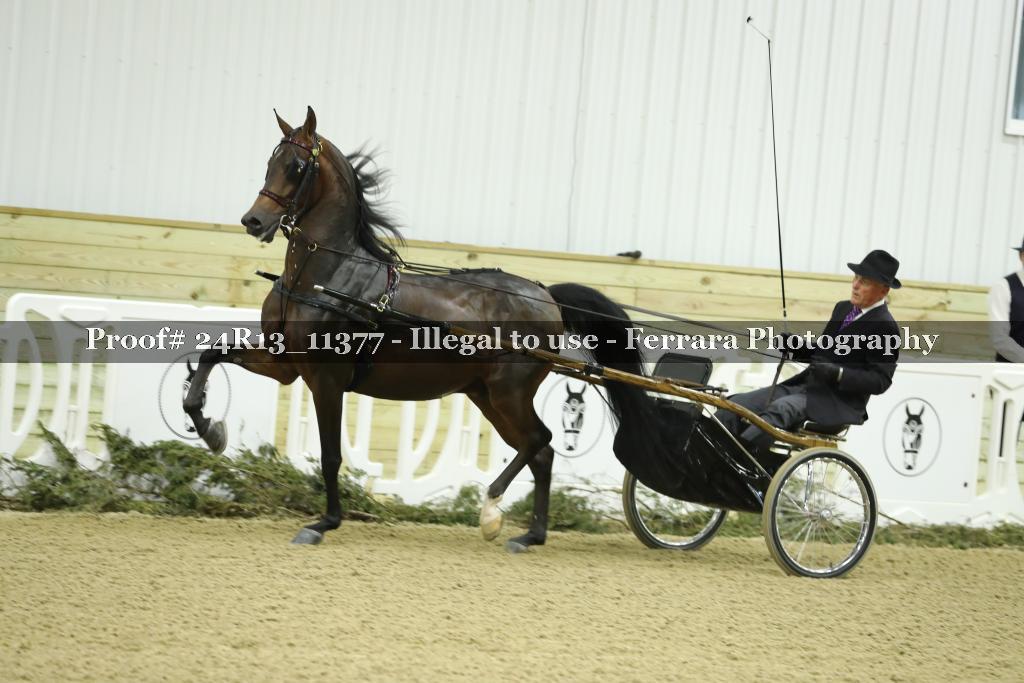 Proof 24R13_11377