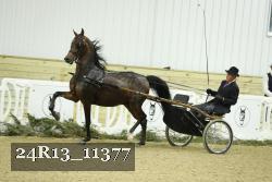 24R13_11377 proof