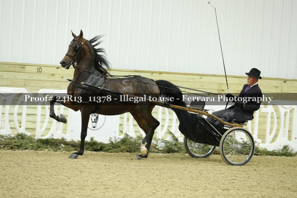 Proof 24R13_11378