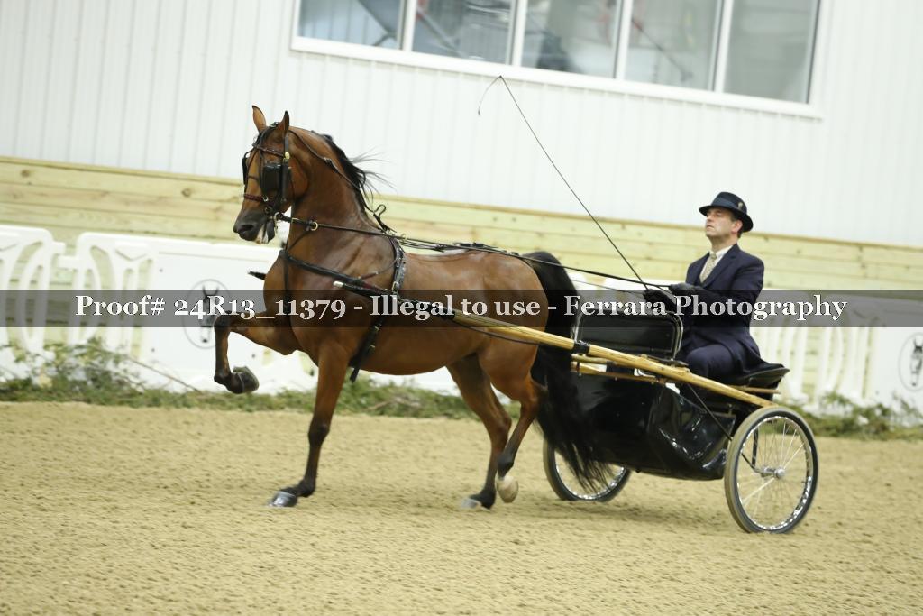 Proof 24R13_11379