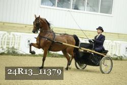 24R13_11379 proof