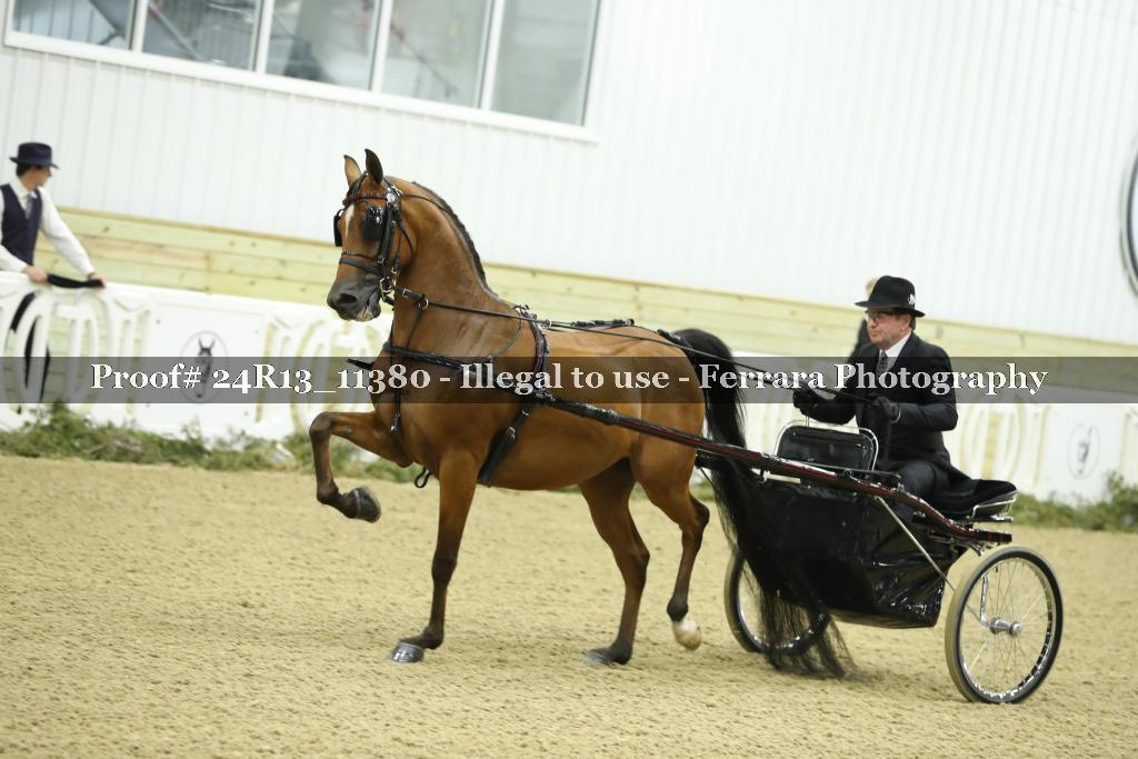 Proof 24R13_11380