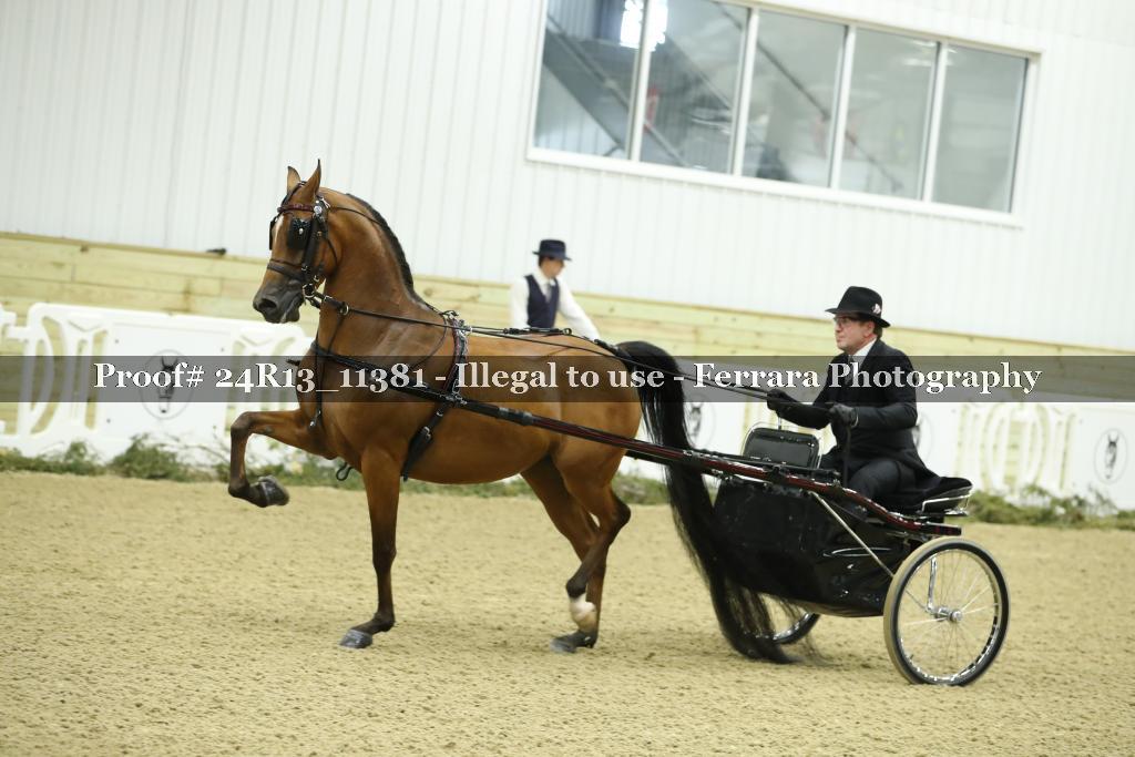 Proof 24R13_11381