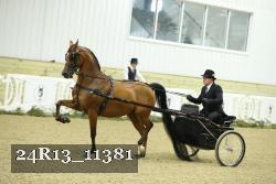 24R13_11381 proof