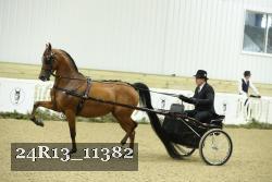 24R13_11382 proof