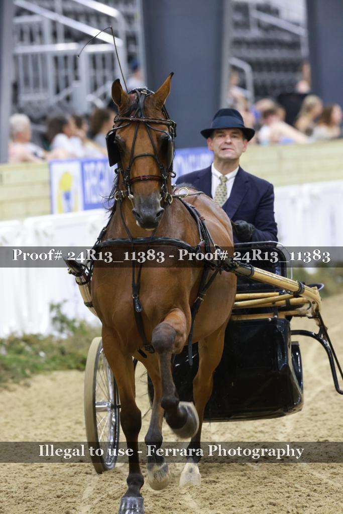 Proof 24R13_11383