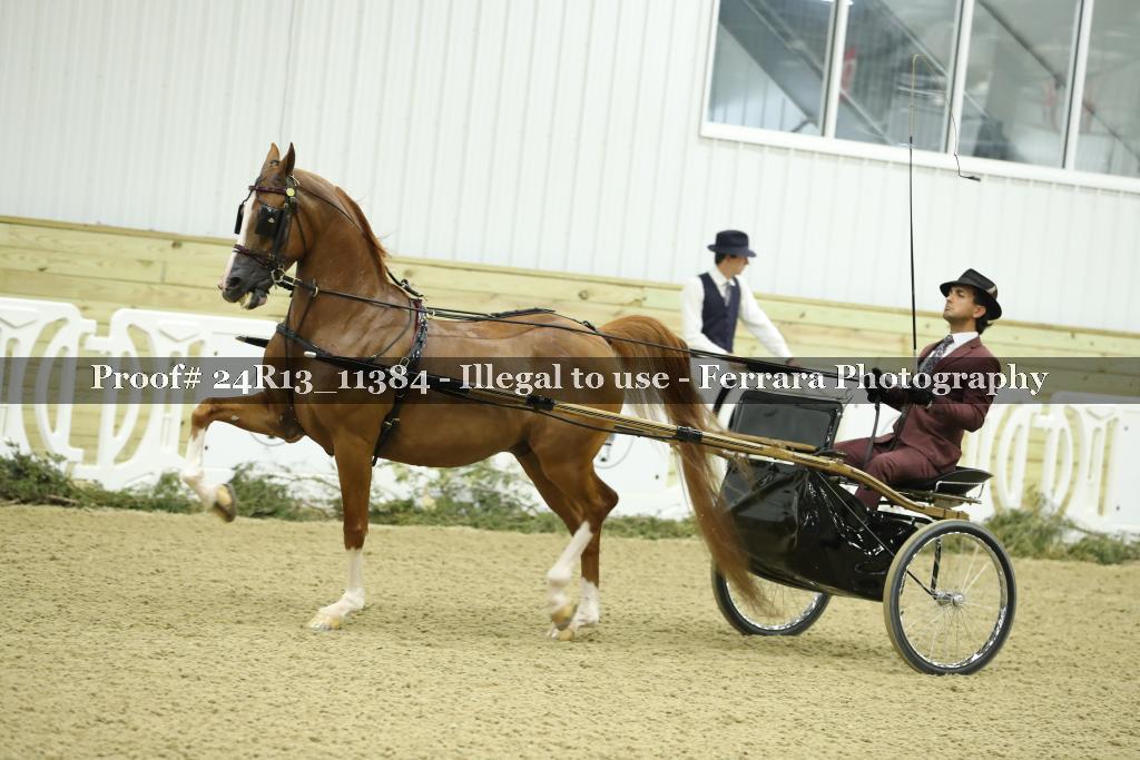Proof 24R13_11384