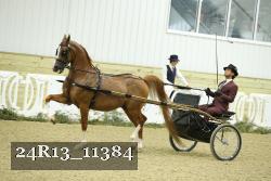 24R13_11384 proof