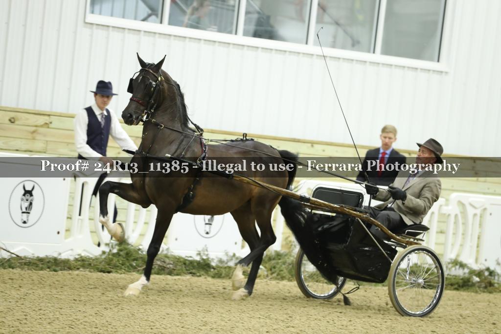 Proof 24R13_11385