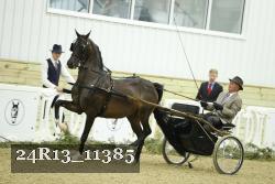 24R13_11385 proof