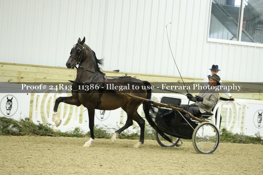 Proof 24R13_11386