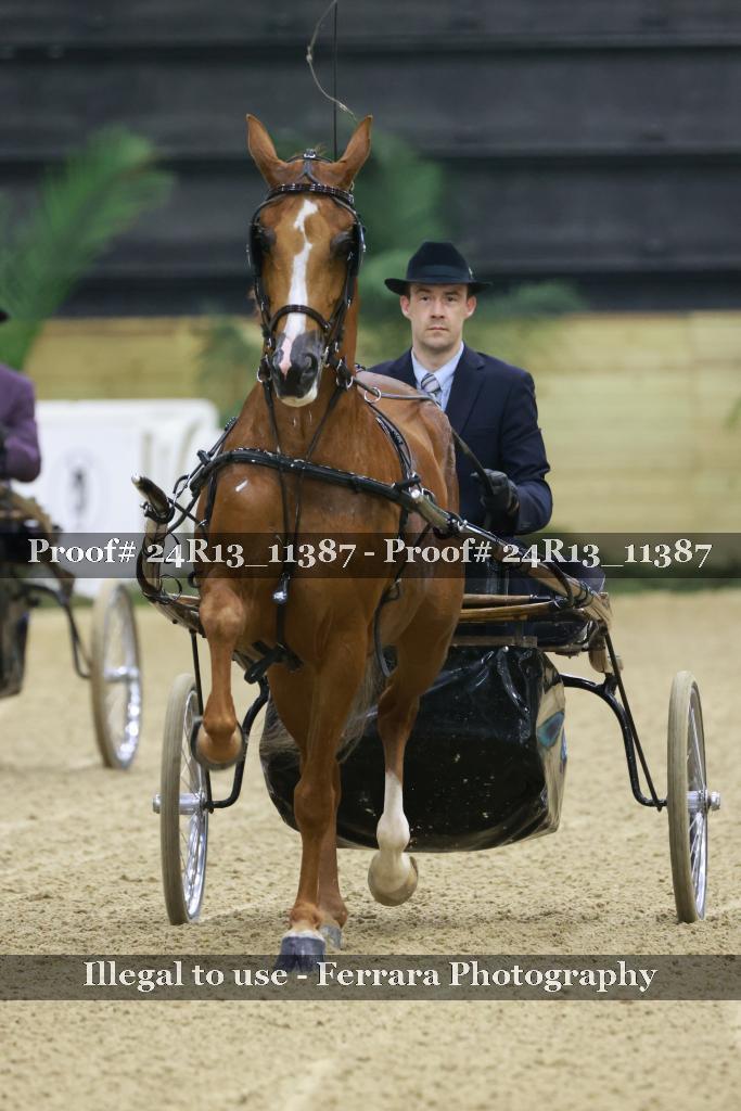 Proof 24R13_11387