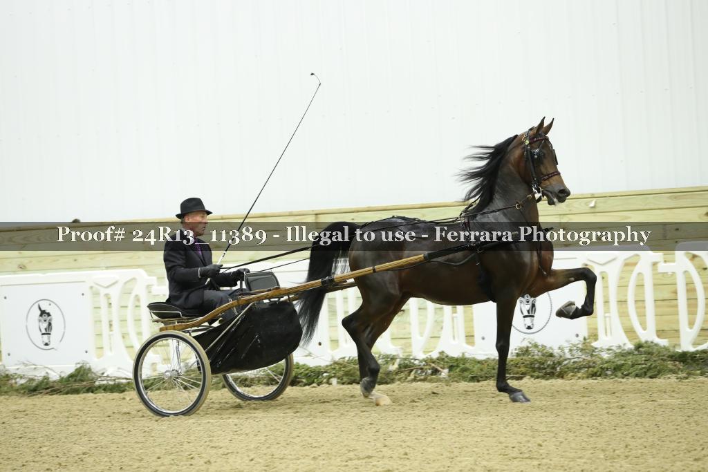 Proof 24R13_11389