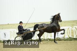 24R13_11389 proof