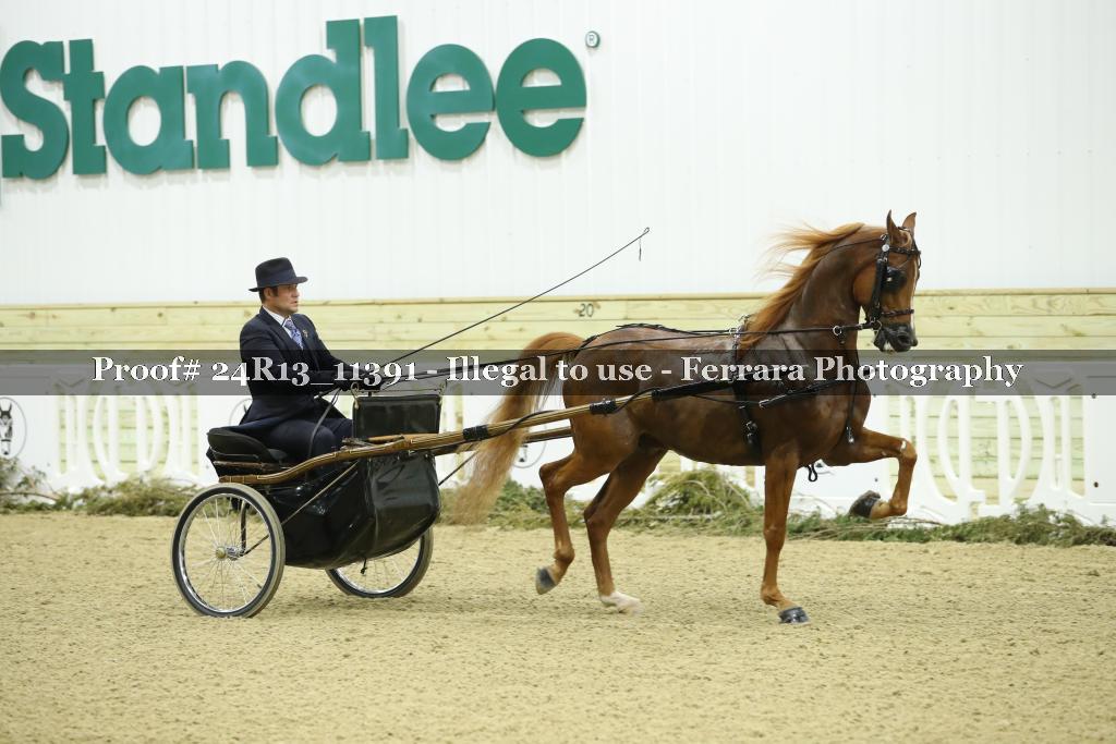 Proof 24R13_11391