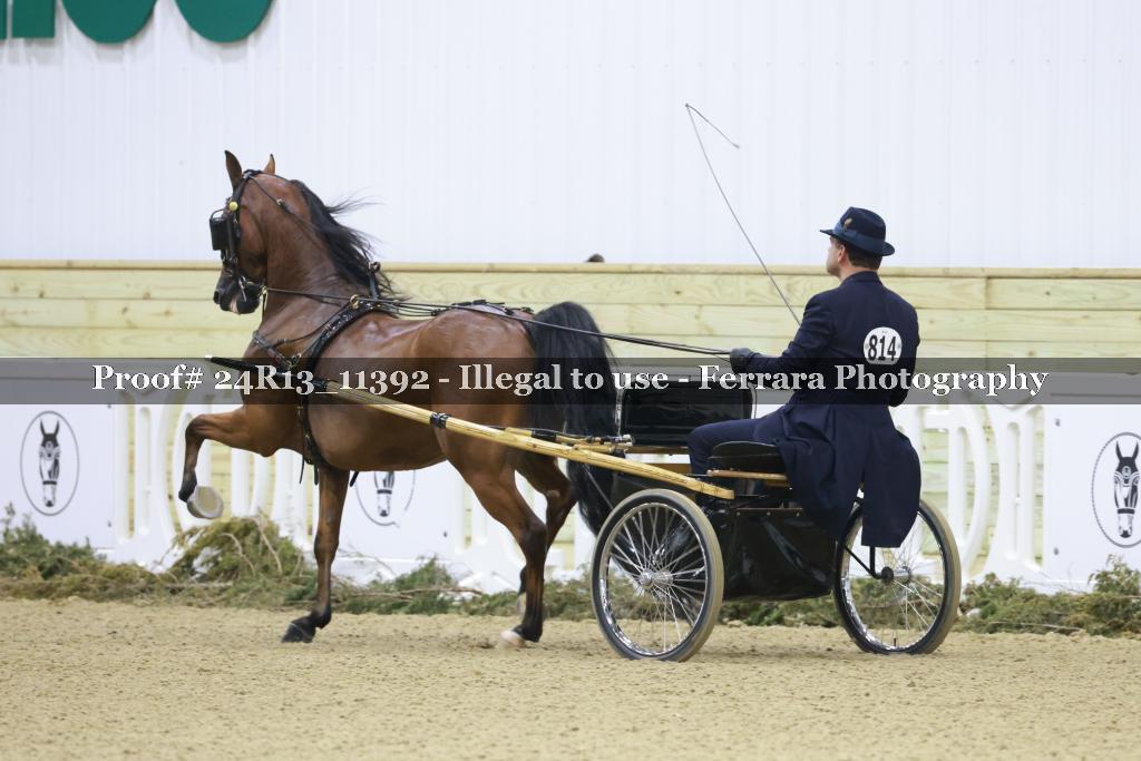 Proof 24R13_11392
