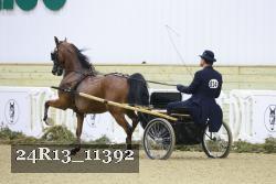 24R13_11392 proof