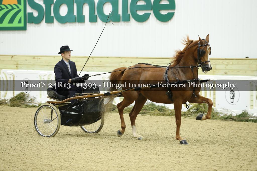 Proof 24R13_11393