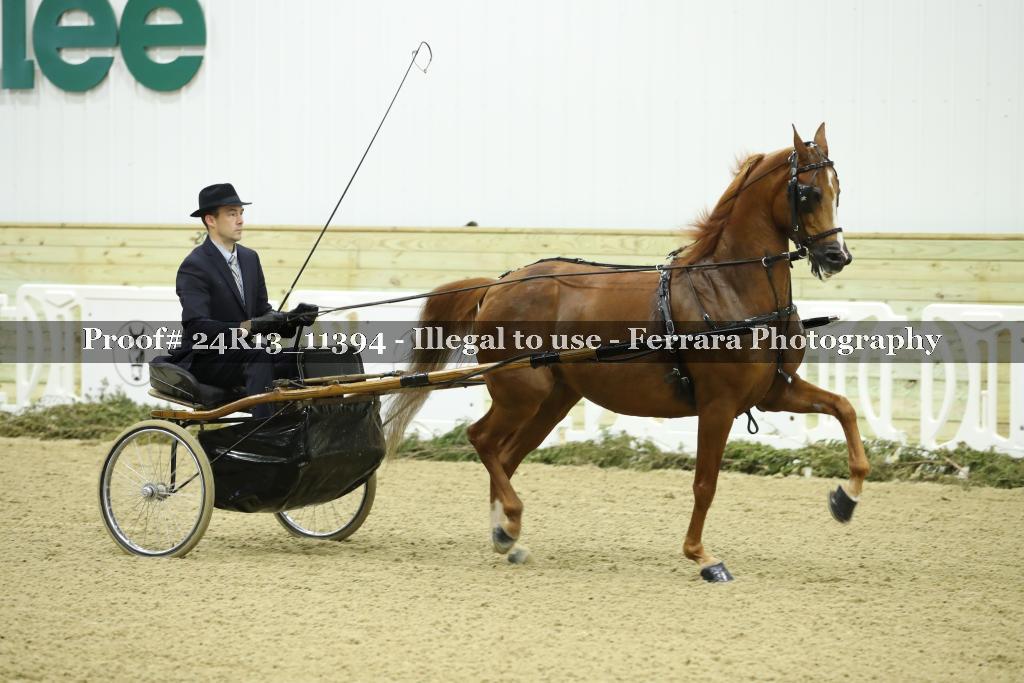 Proof 24R13_11394