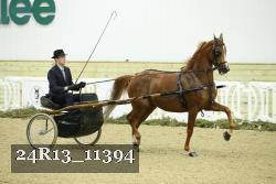 24R13_11394 proof