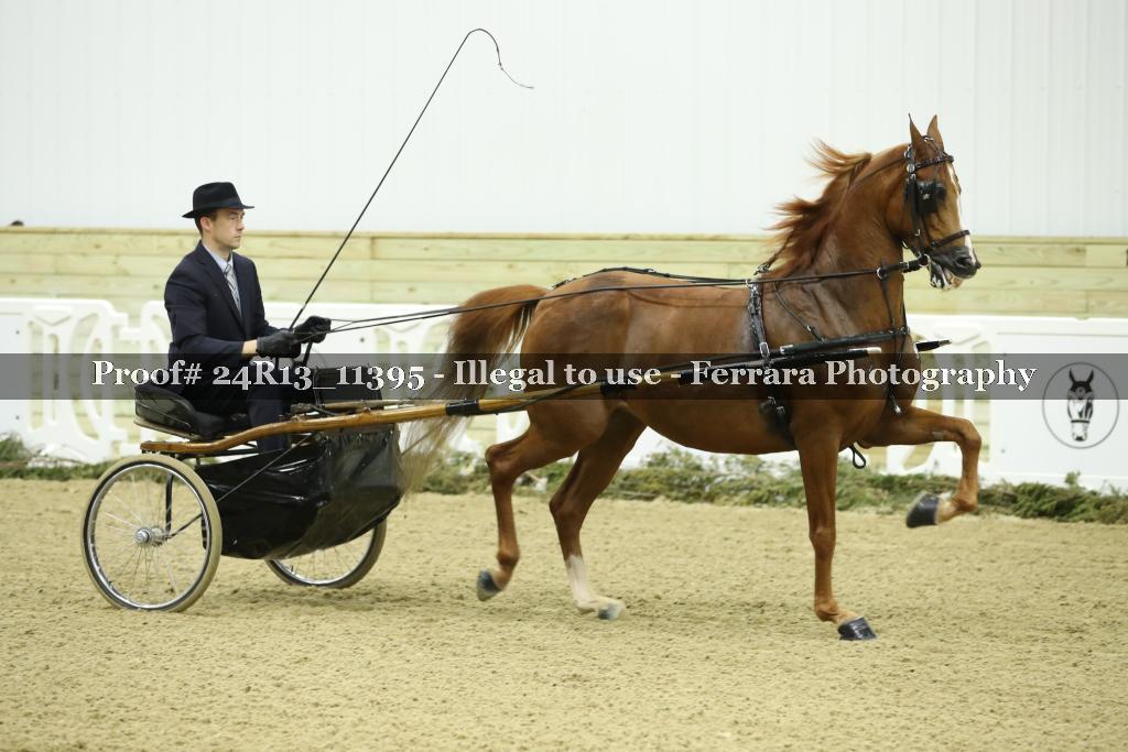Proof 24R13_11395